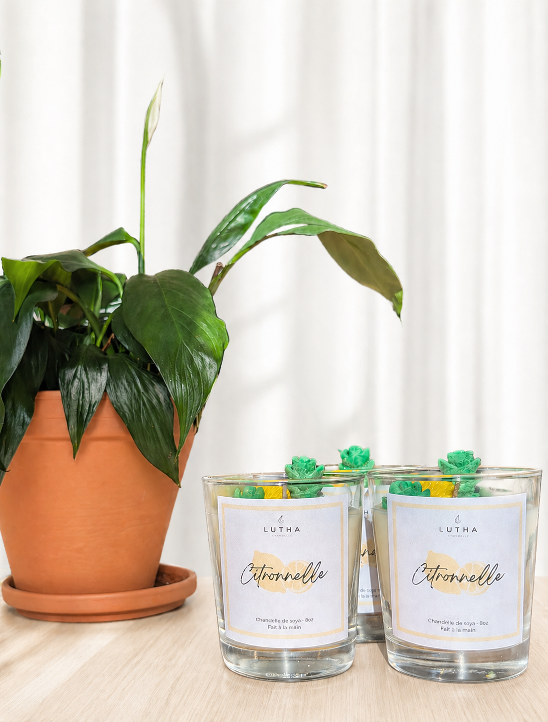 Citronnelle 🍋
