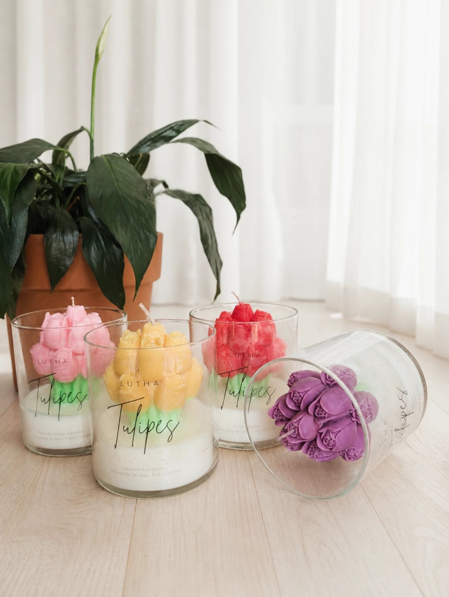 Tulipes