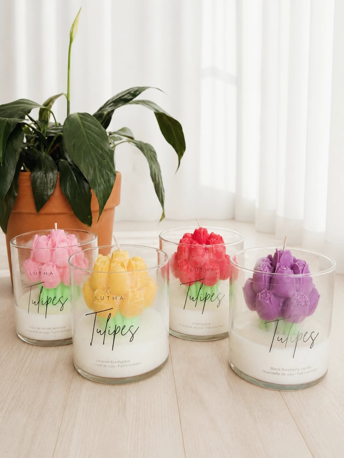 Tulipes